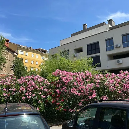 Royal Izola